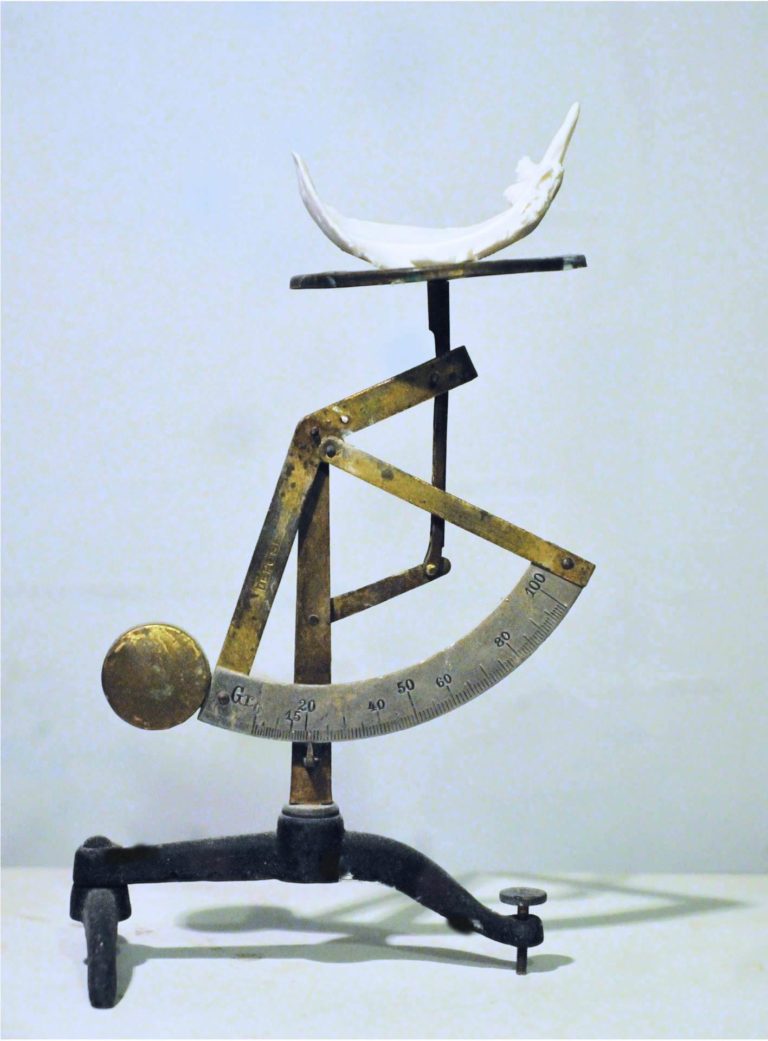 Samuel Yal, 21 Grammes (série) Porcelaine, pèse-lettres 9x3x4 cm, 2014