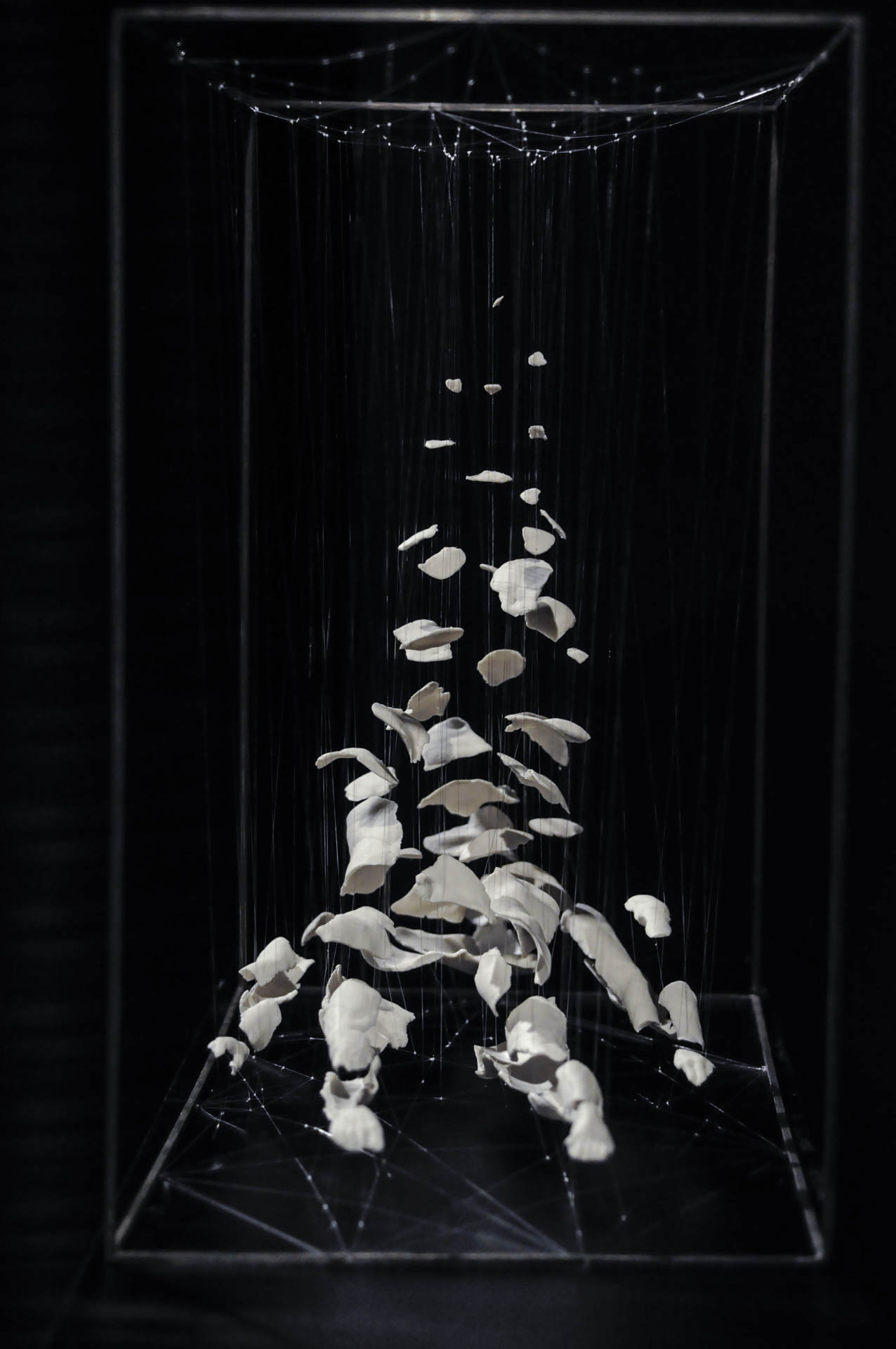 Samuel Yal, Dissolution II, porcelaine, acier, 40x50x25 cm, 2012