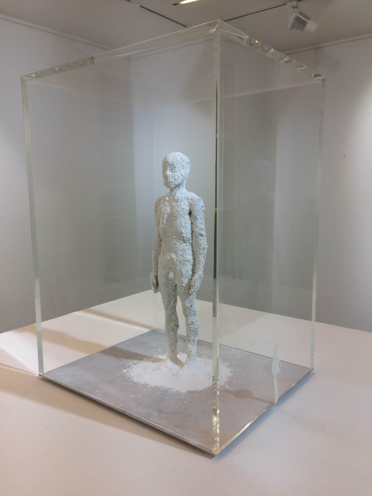 Samuel Yal, Ecce Homo, 40x30x25 cm, Ricine, matériaux divers sous vitrine scellée, 2018