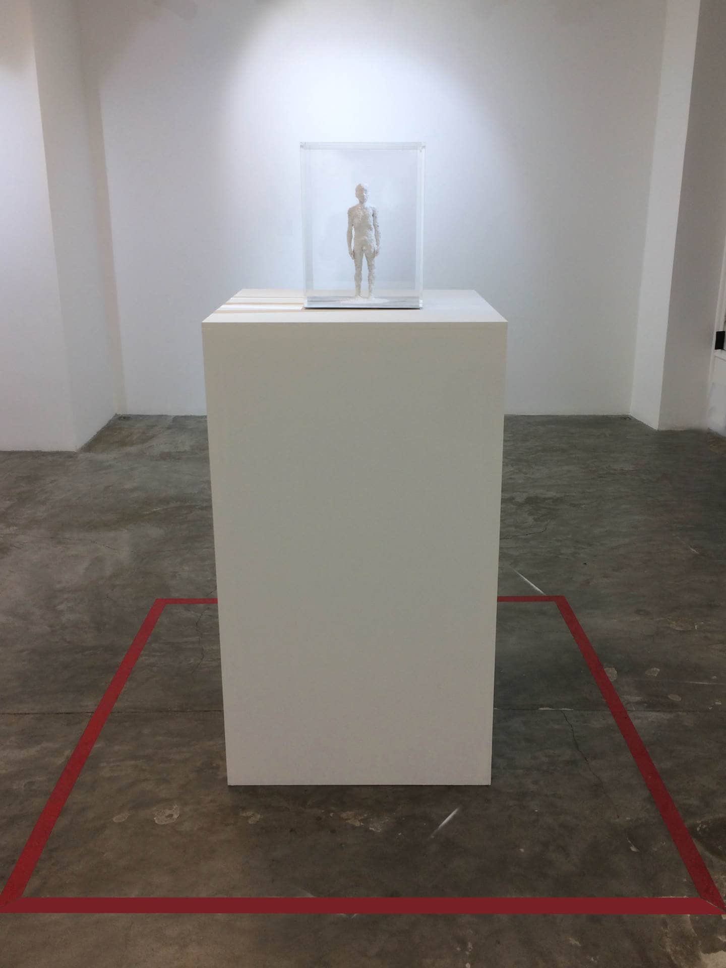 Samuel Yal, Ecce Homo, 40x30x25 cm, Ricine, matériaux divers sous vitrine scellée, 2018