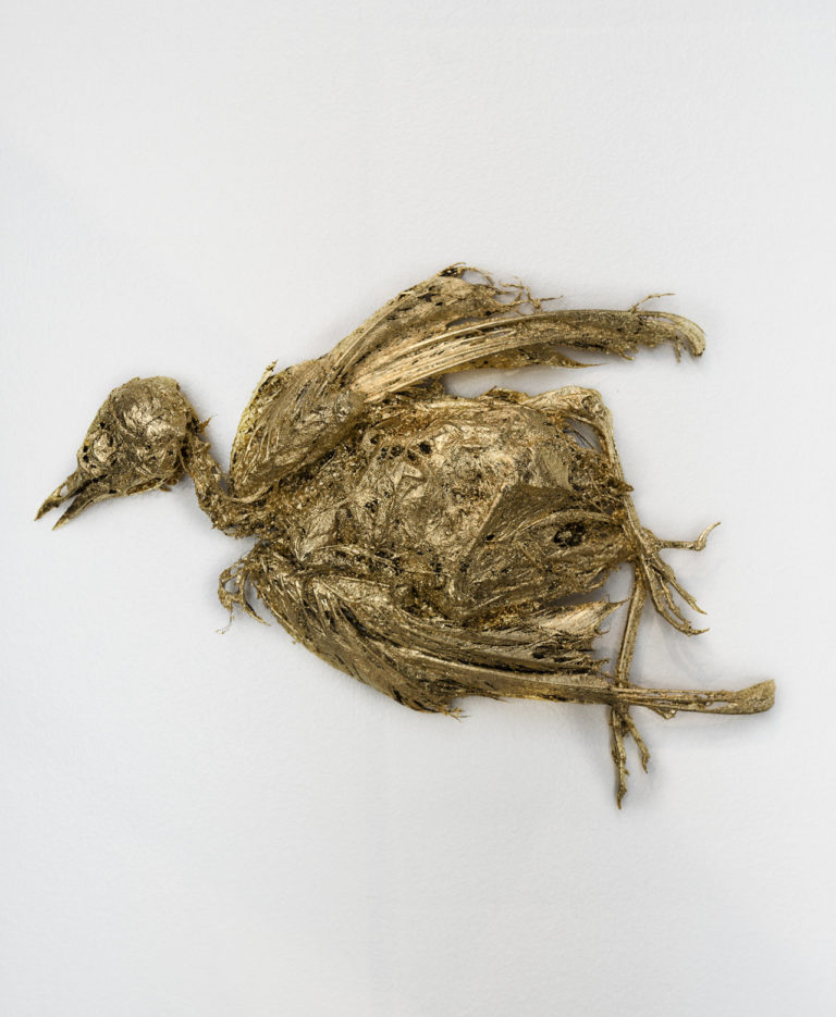 Samuel Yal, Les oiseaux se cachent pour mourir, 48°50’55.6″N 2°13’06.3″E, Matières organique, feuilles d’or 13x15x3 cm, 2017